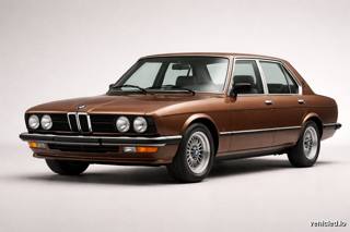 BMW 5 Series in Topaz Brown metallic (013)