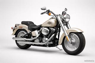 Harley-Davidson Fat Boy in Champagne Pearl