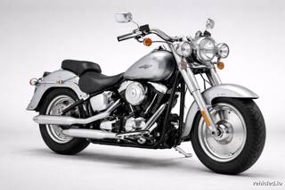 Harley-Davidson Fat Boy in Fine Silver Metallic